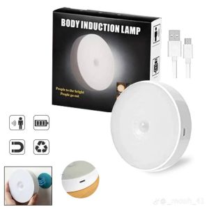 Induction light